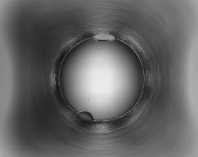 X0000099970692200805301334