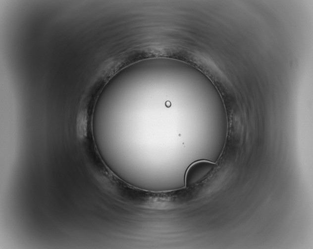 X0000099970694200805301334