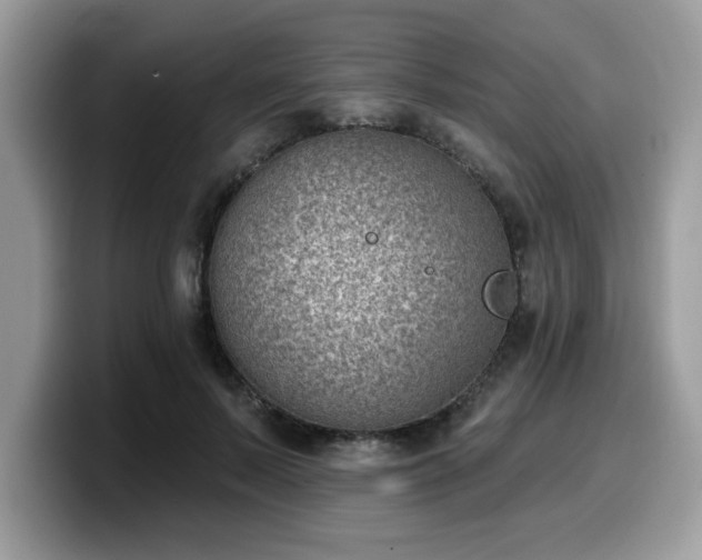 X0000099970695200805301334