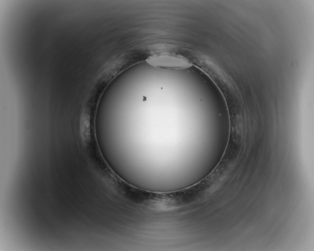 X0000099970696200805301334