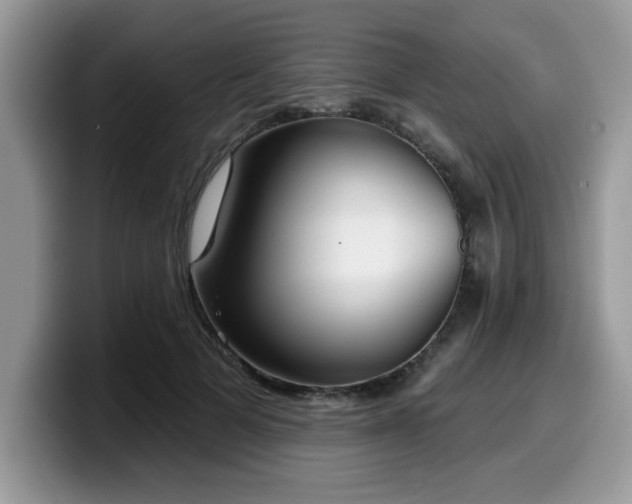 X0000099970697200805301334