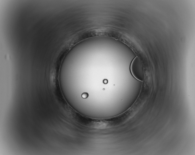 X0000099970698200805301334