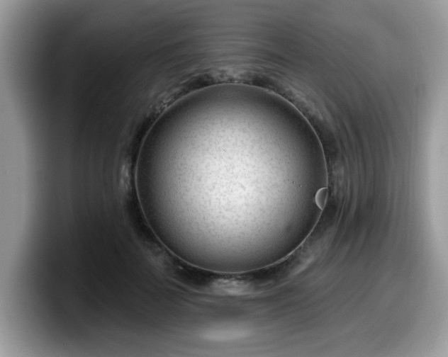 X0000099970699200805301334