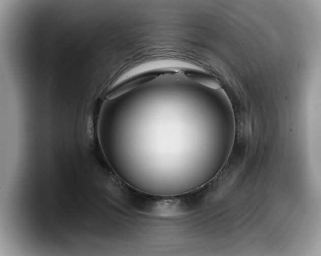 X0000099970700200805301334