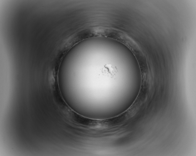 X0000099970702200805301334