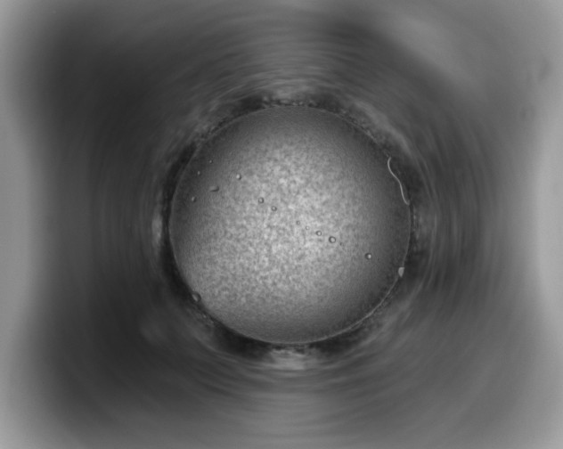 X0000099970703200805301334