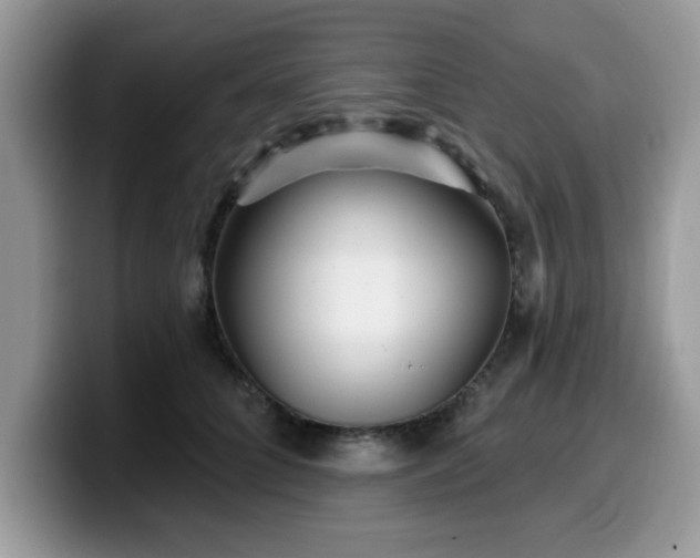 X0000099970704200805301334