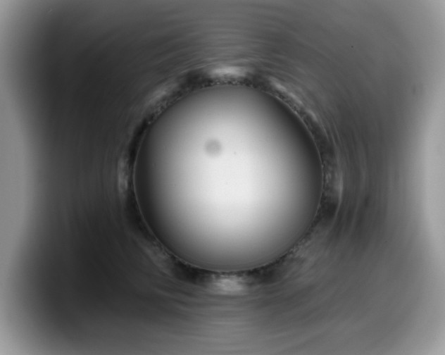 X0000099970710200805301334