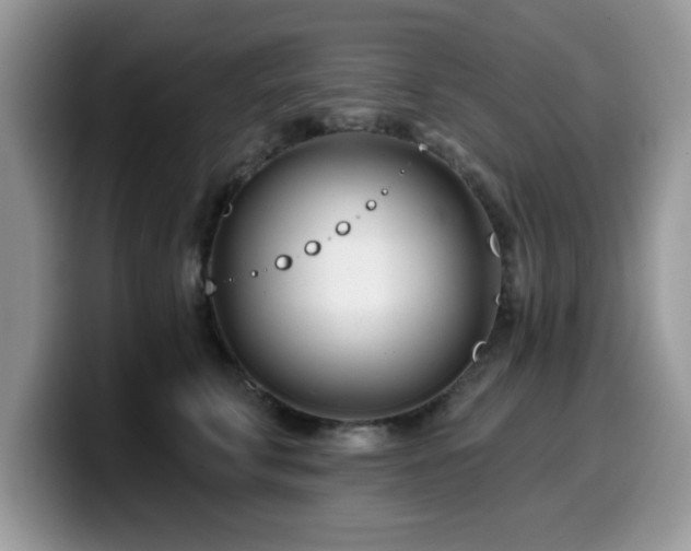 X0000099970711200805301334