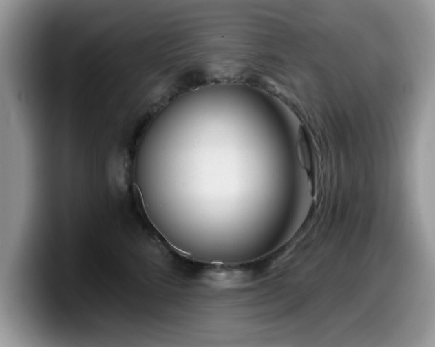 X0000099970712200805301334