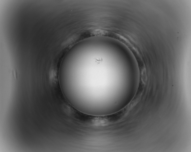 X0000099970714200805301334