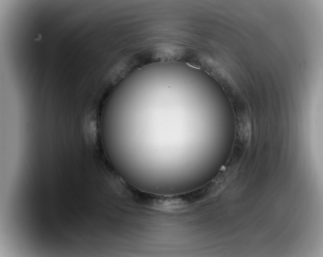 X0000099970716200805301334