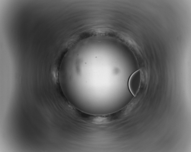 X0000099970718200805301334