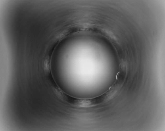 X0000099970719200805301334