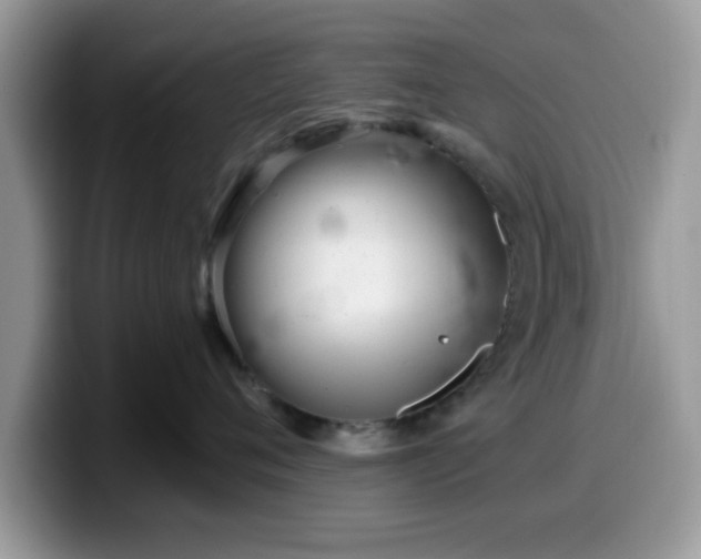 X0000099970720200805301334