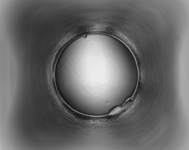 X0000099970721200805301333