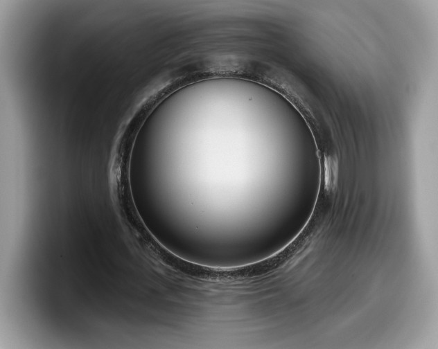 X0000099970723200805301333