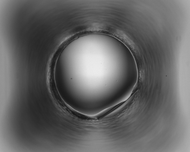 X0000099970724200805301333