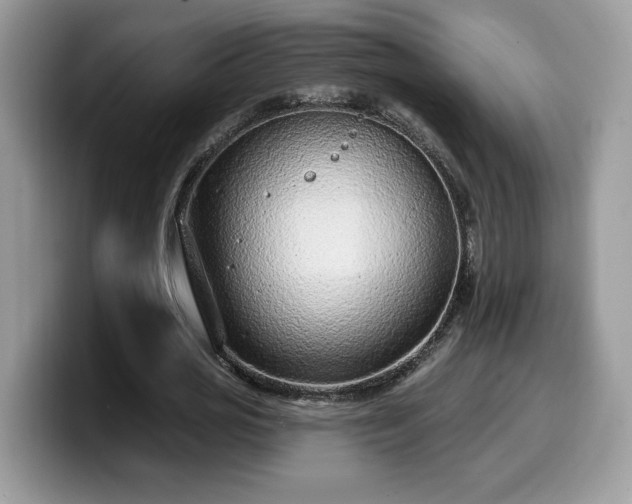 X0000099970725200805301333