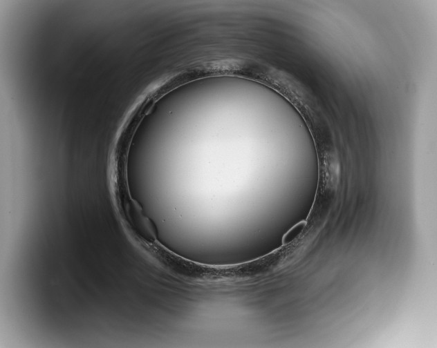 X0000099970726200805301333