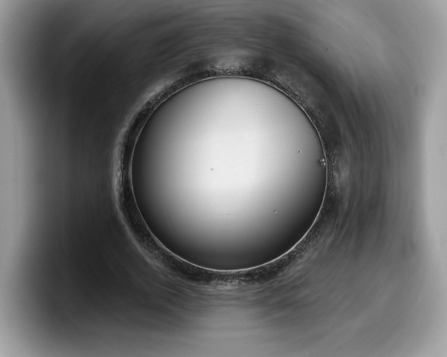 X0000099970728200805301333