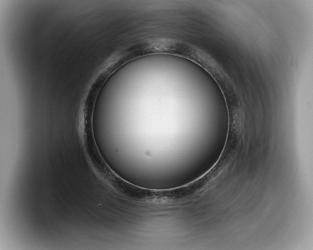 X0000099970730200805301333