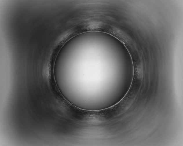 X0000099970732200805301333