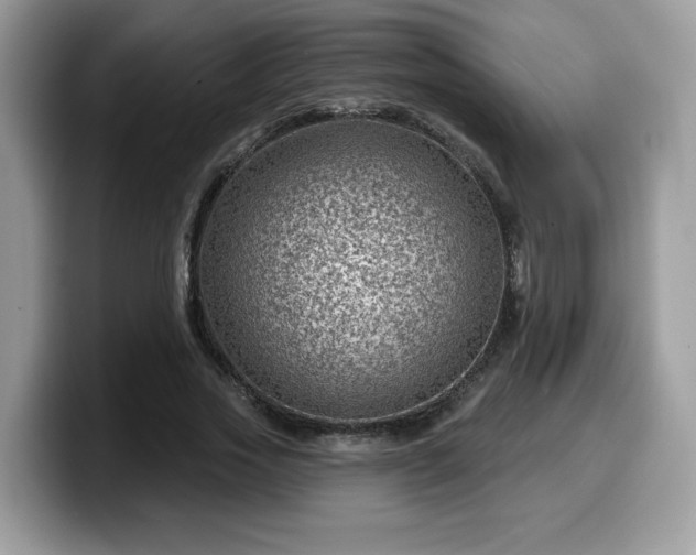 X0000099970733200805301333