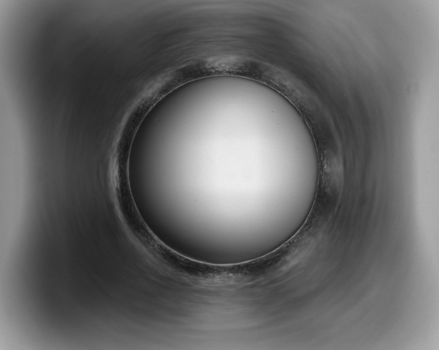 X0000099970734200805301333