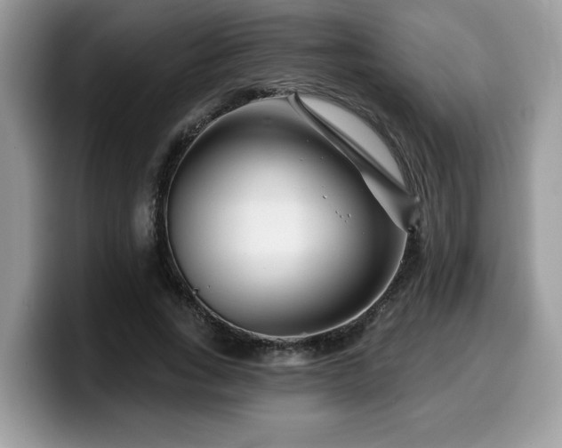 X0000099970735200805301333