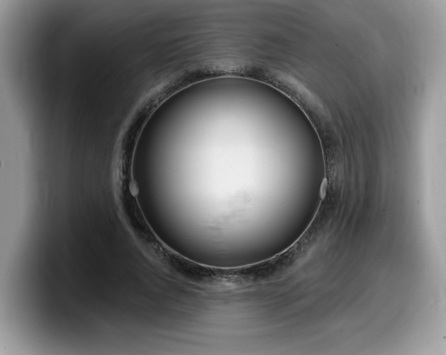 X0000099970736200805301333