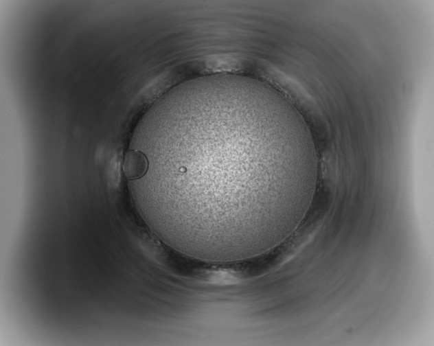 X0000099970741200805301333