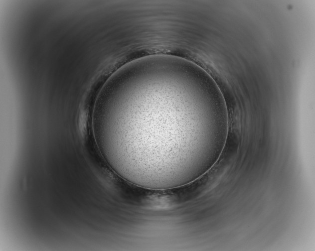 X0000099970742200805301333