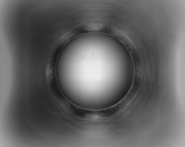 X0000099970743200805301333