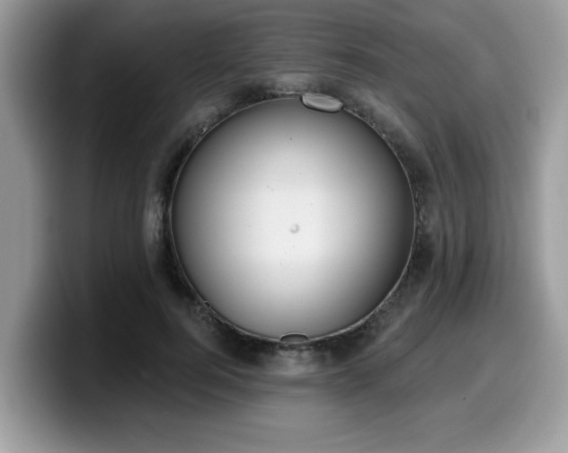 X0000099970744200805301333