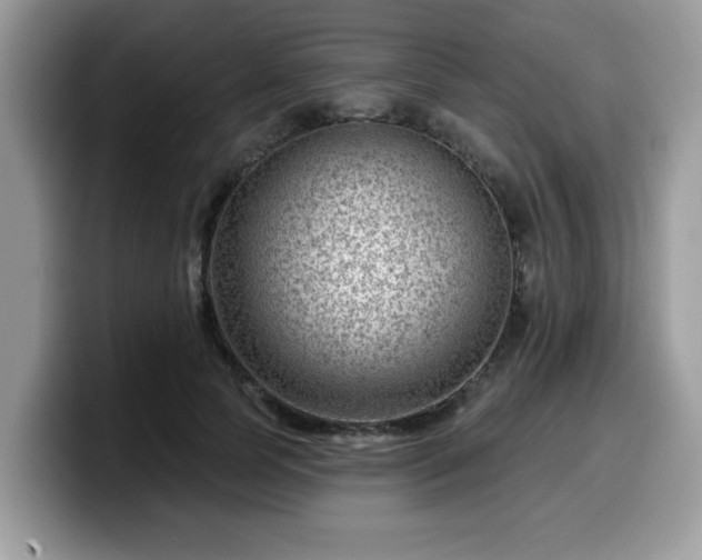 X0000099970745200805301333