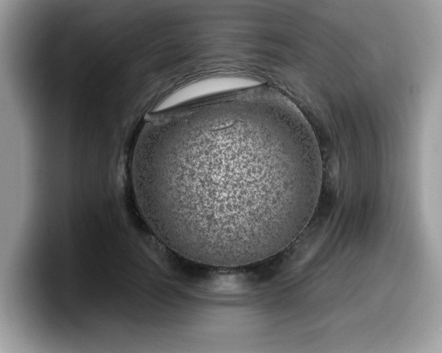 X0000099970746200805301333