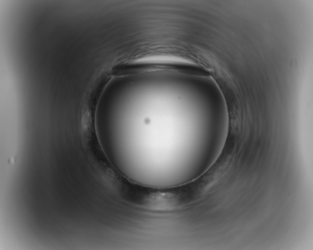 X0000099970748200805301333