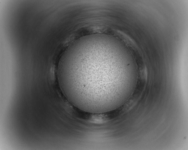 X0000099970757200805301333