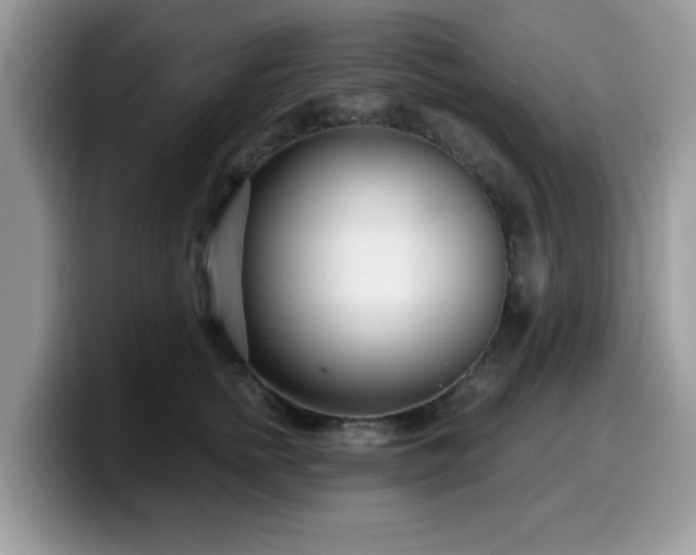 X0000099970758200805301333