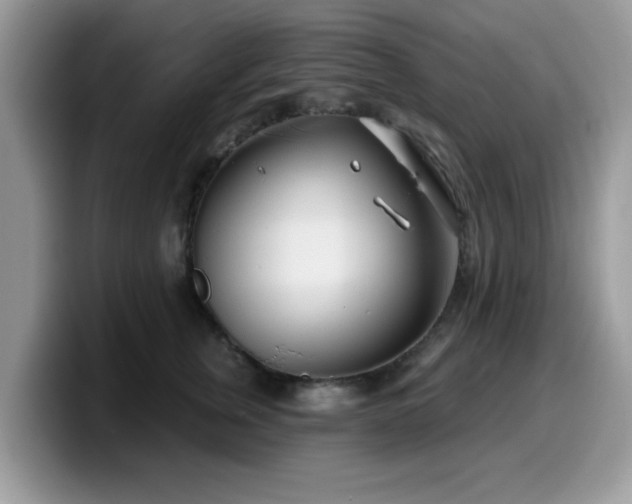 X0000099970759200805301333