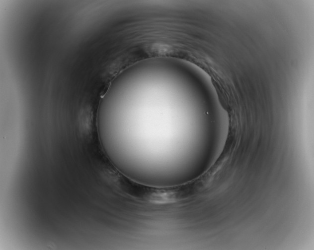 X0000099970760200805301333