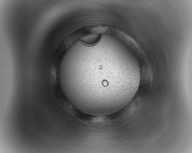 X0000099970761200805301333