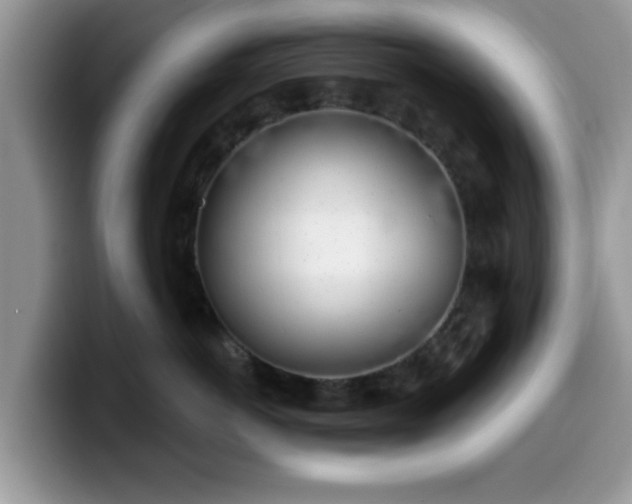 X0000099970766200805301334