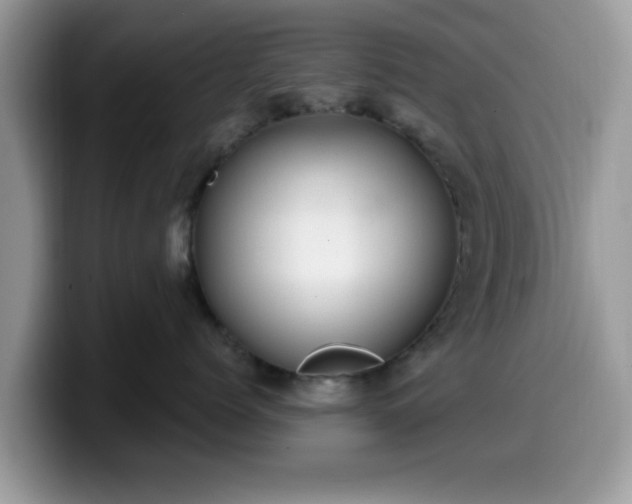 X0000099970768200805301334