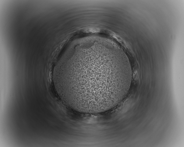 X0000099970772200805301333