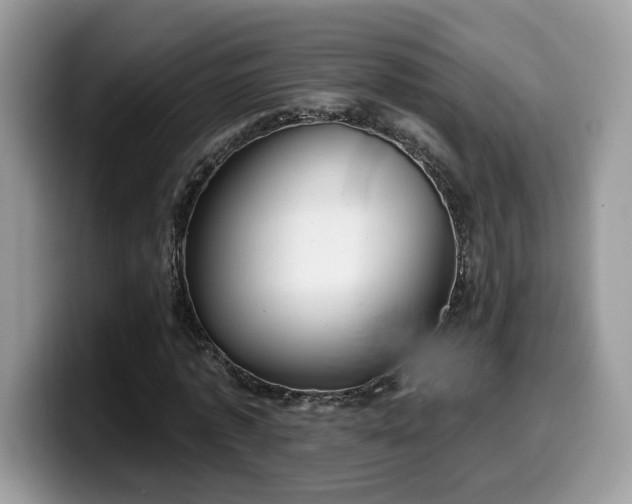 X0000099970773200805301333