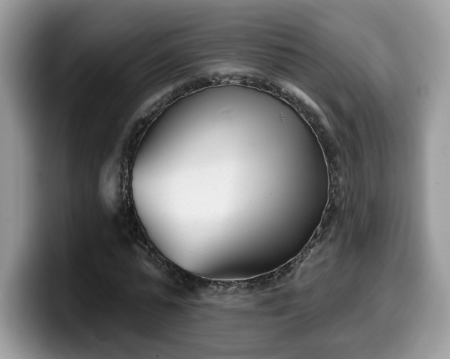 X0000099970775200805301333