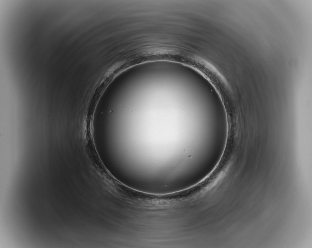 X0000099970777200805301333