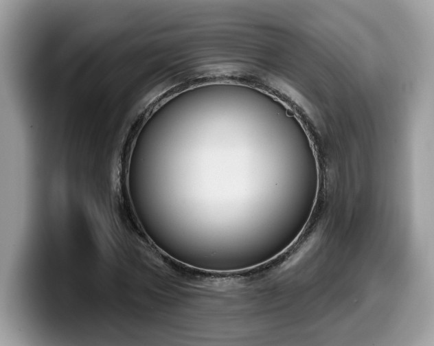 X0000099970778200805301333